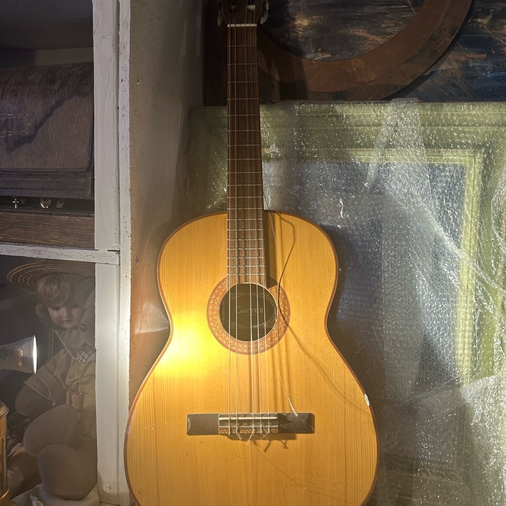 Giannini Aciustic Guitar AWN85 2916